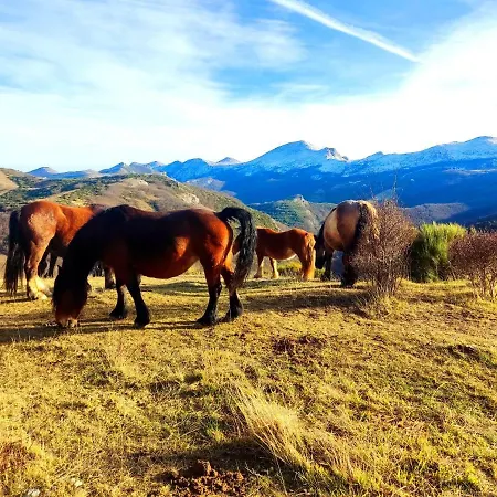 La Casita De La Montana Appartement Alba de los Cardaños