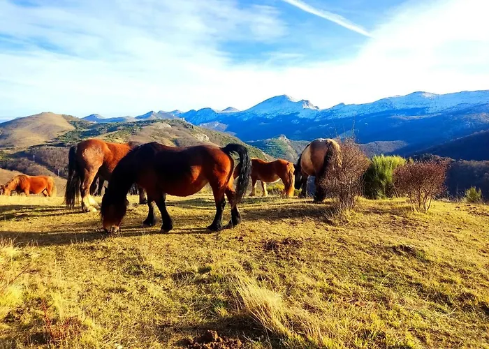 La Casita De La Montana 아파트 Alba de los Cardaños