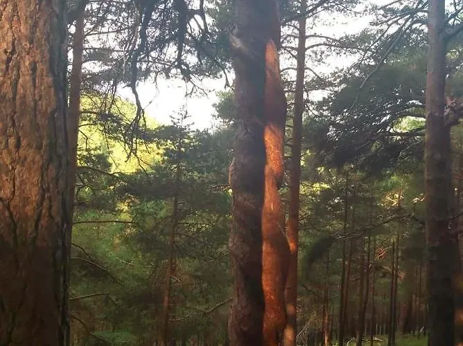 아파트 La Casita De La Montana *